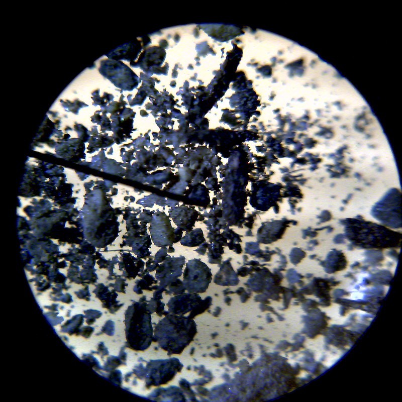 Microscope fun for kids